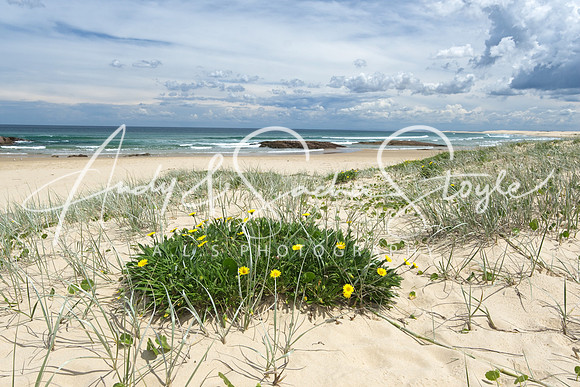 05TomareeNatParkBirubiBeach01