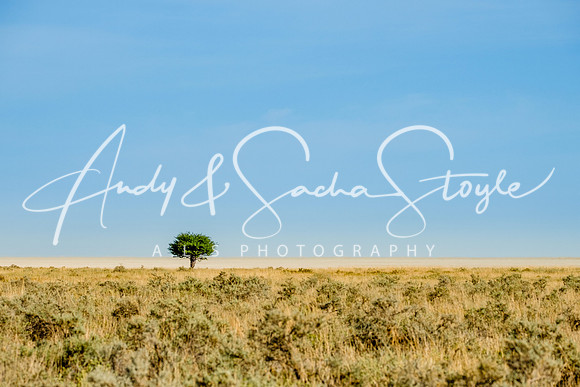 07Etosha02