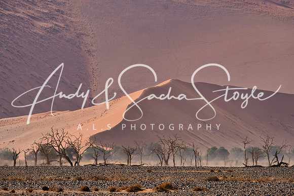 18Sossusvlei02