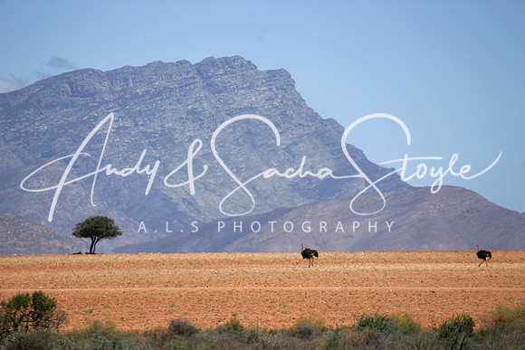 10LittleKaroo02