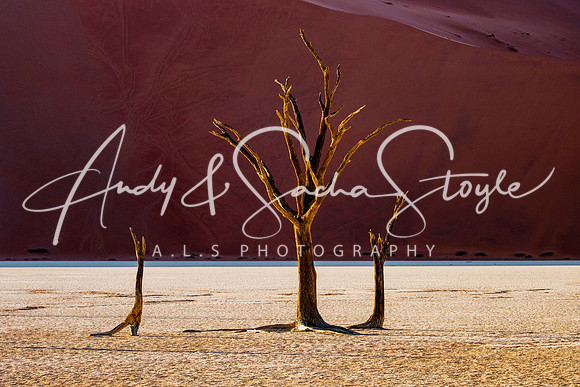 19Deadvlei16