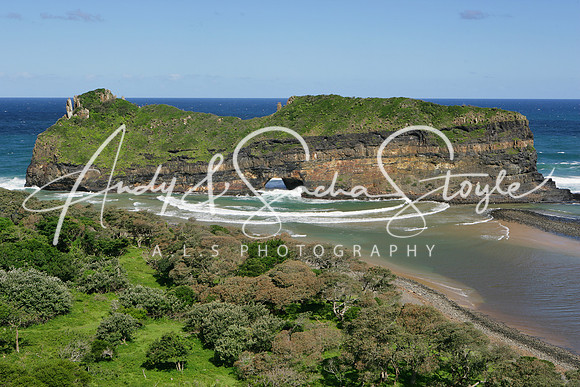 14WildCoast05