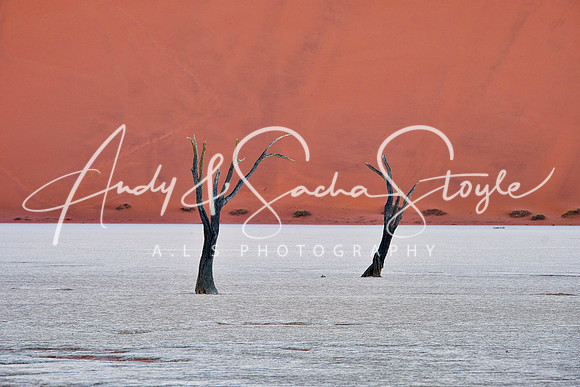 19Deadvlei07