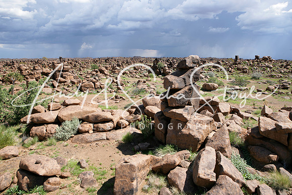 02GiantsPlayground01