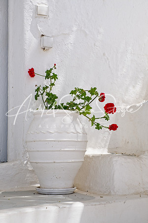 Santorini057