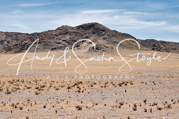 10Twyfelfontein05