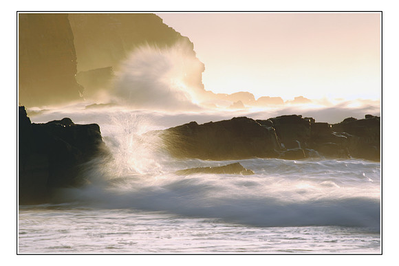 235 Wild Coast Surf
