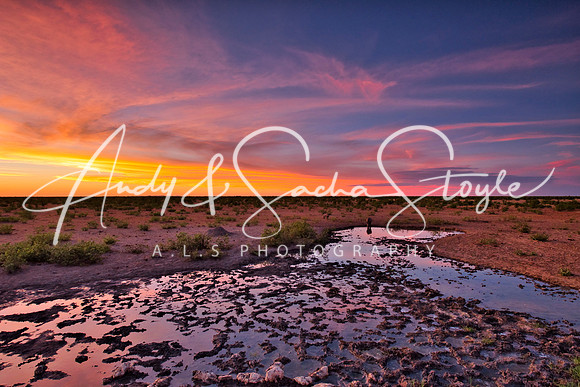 07Etosha04