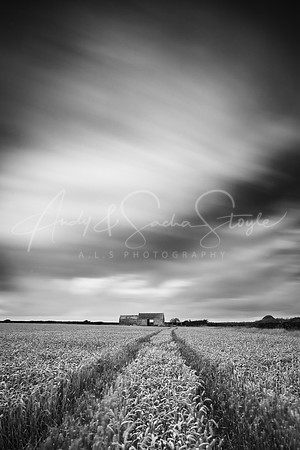 07Vale-Wick01