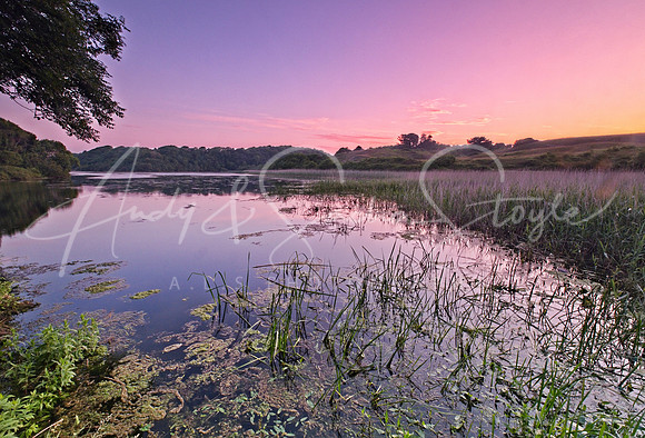 20-WWales-Bosherston01