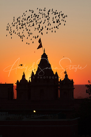 01-India-Bikaner34