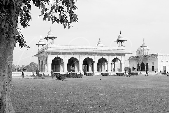 01-India-Delhi19