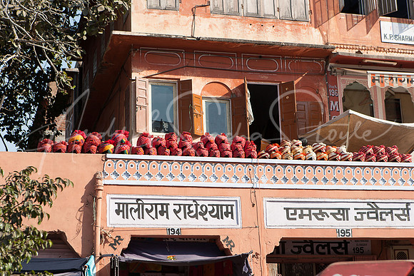 01-India-Jaipur14