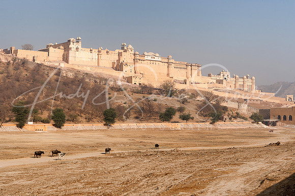 01-India-Jaipur18