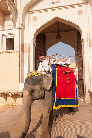 01-India-Jaipur19