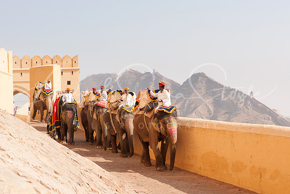 01-India-Jaipur25