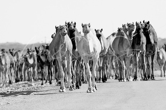 01-India-Jaisalmar02