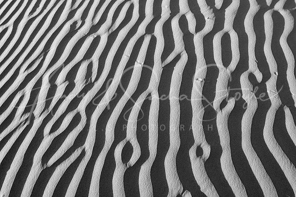 01-India-Jaisalmar08