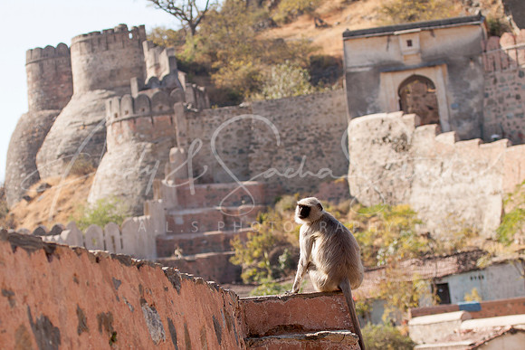 01-India-KumbhalgarhFort01