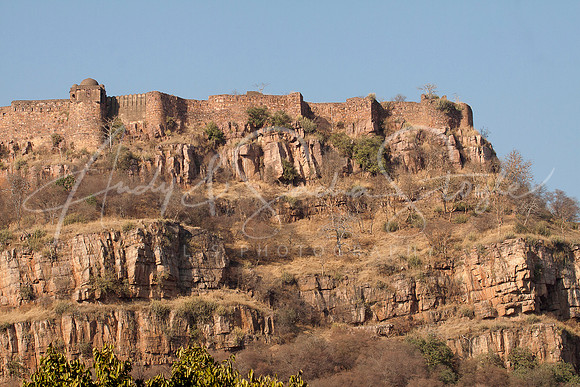 01-India-Ranthambore01