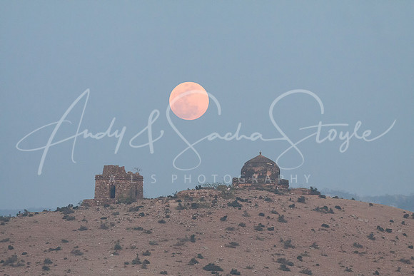 01-India-Ranthambore02