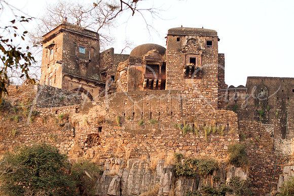 01-India-Ranthambore03
