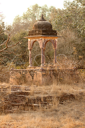 01-India-Ranthambore05