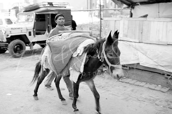 01-India-Rishikesh07