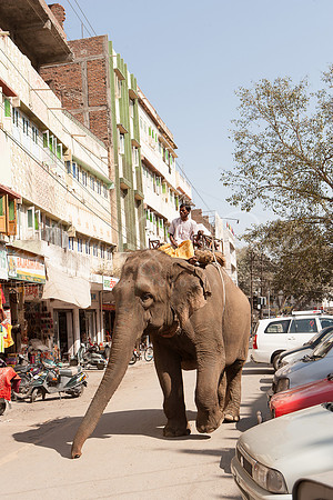 01-India-Udaipur03