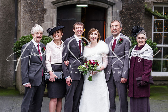 BM-313