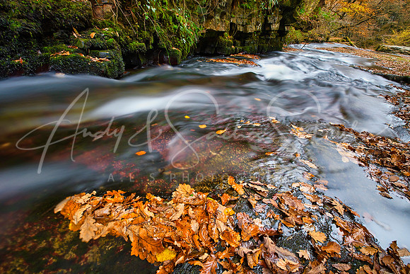 31-Brecon-Waterfalls08