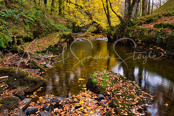 31-Brecon-Waterfalls11