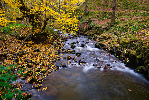 31-Brecon-Waterfalls12