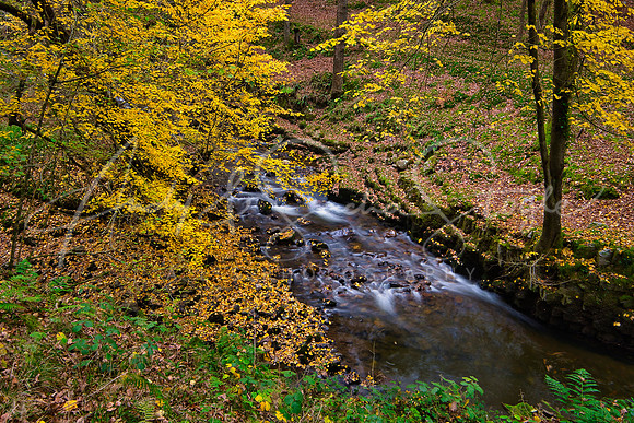 31-Brecon-Waterfalls13