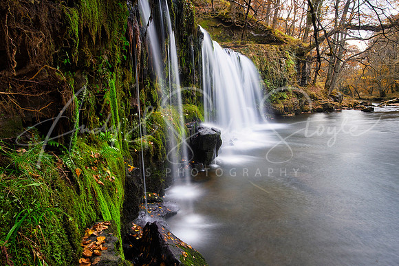 31-Brecon-Waterfalls14