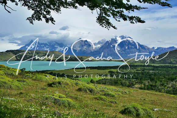 01 TorresDelPaine004