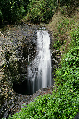 06-SprigbrookNationalPark05