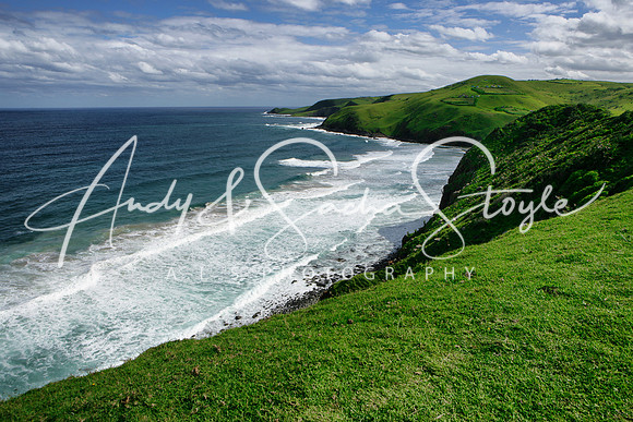 14WildCoast01