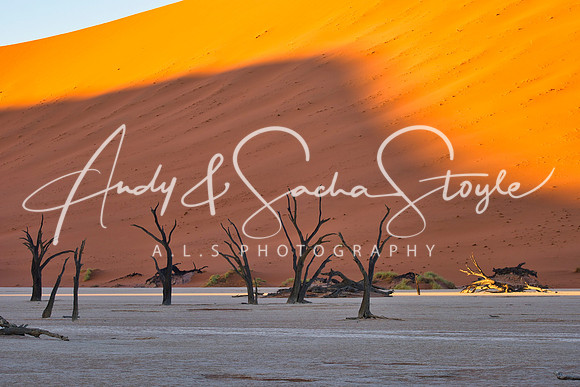 19Deadvlei08