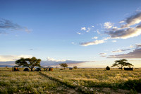 01TsondabVlei03