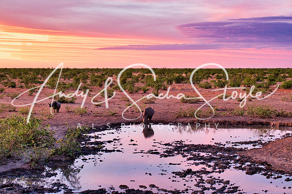 07Etosha11