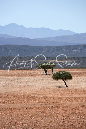 10LittleKaroo04