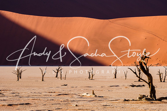19Deadvlei23