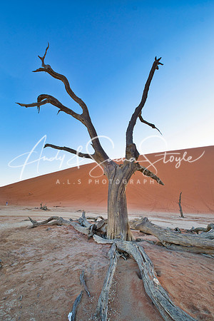 19Deadvlei10