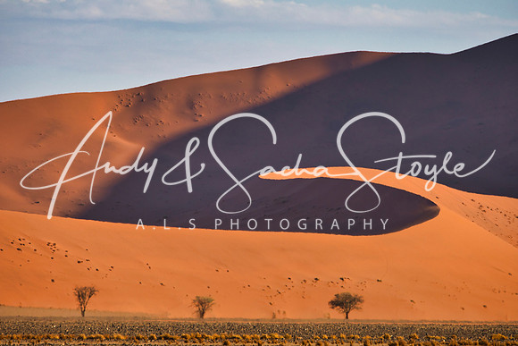 18Sossusvlei22