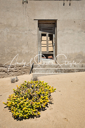 22Kolmanskop09