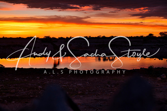 07Etosha09