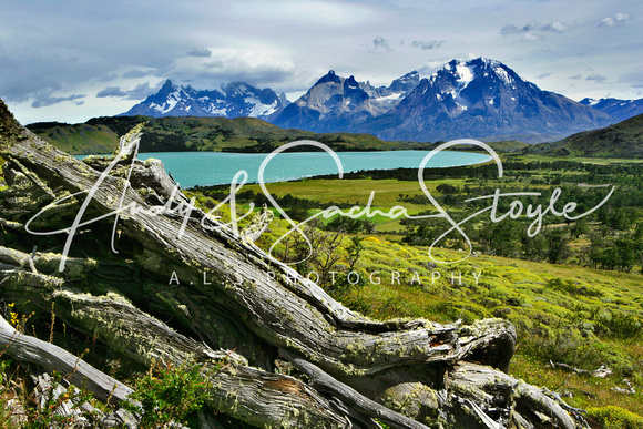 01 TorresDelPaine006