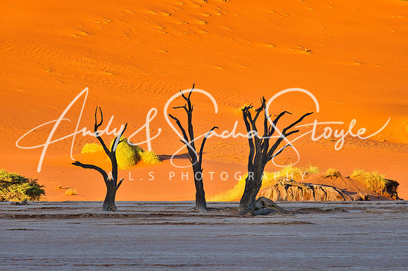 19Deadvlei06