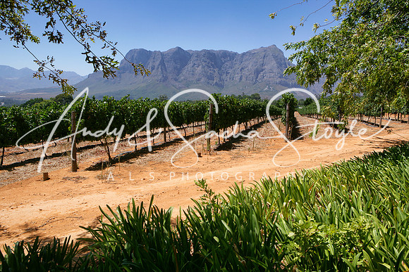 05Stellenbosch0105